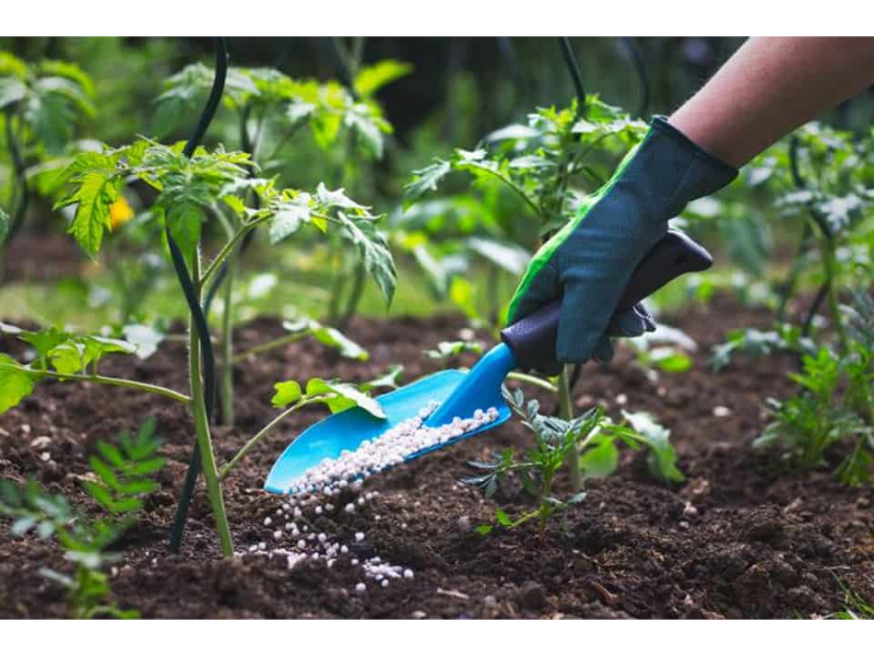 Cách tăng độ pH cho đất: Giải pháp hiệu quả để cải thiện đất chua