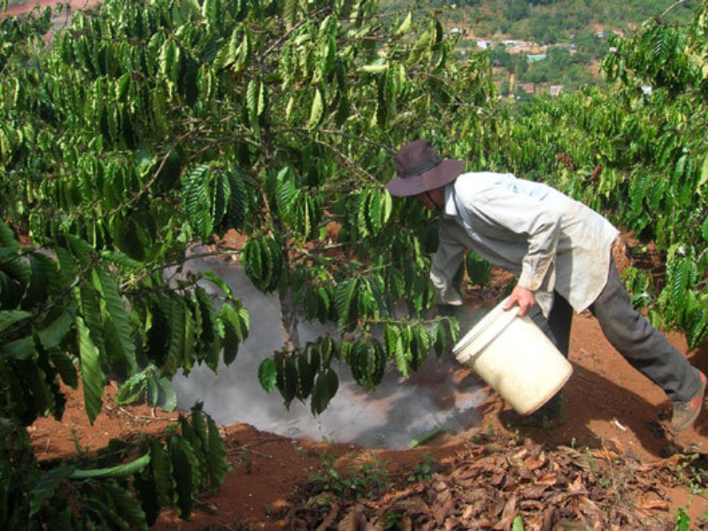 Cách làm cho đất tơi xốp