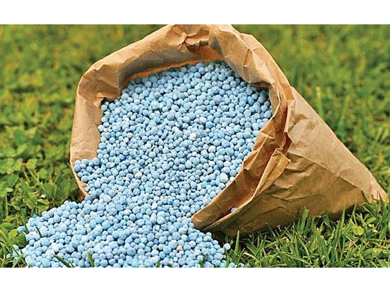 bón phân gì để tiêu chắc hạt