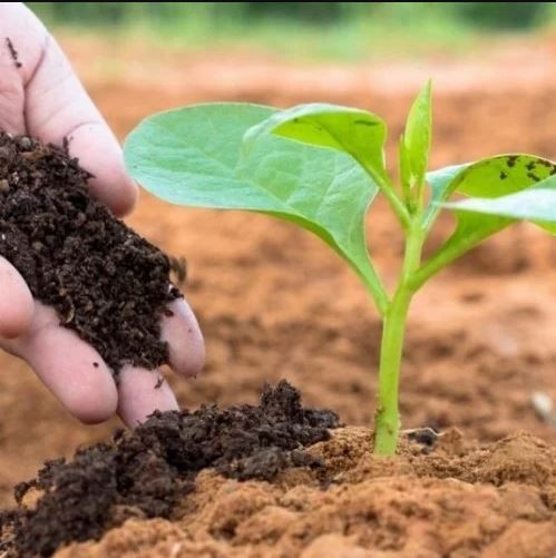 phân hữu cơ là gì