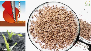 các loại phân hỗn hợp