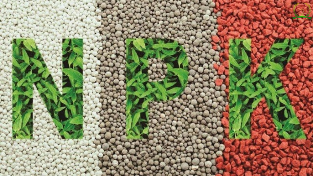 các loại phân hỗn hợp