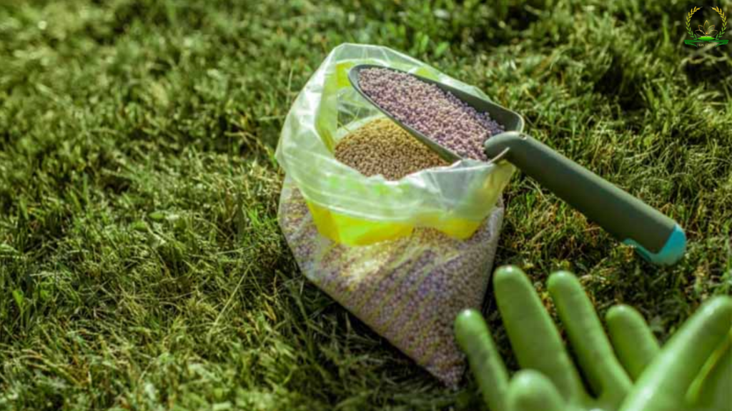 Phân bón trung lượng