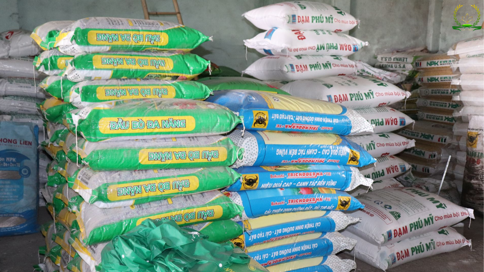 báo giá phân bón