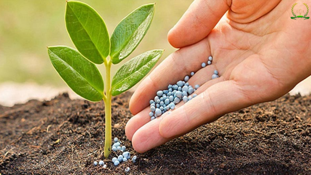 Phân bón trung lượng