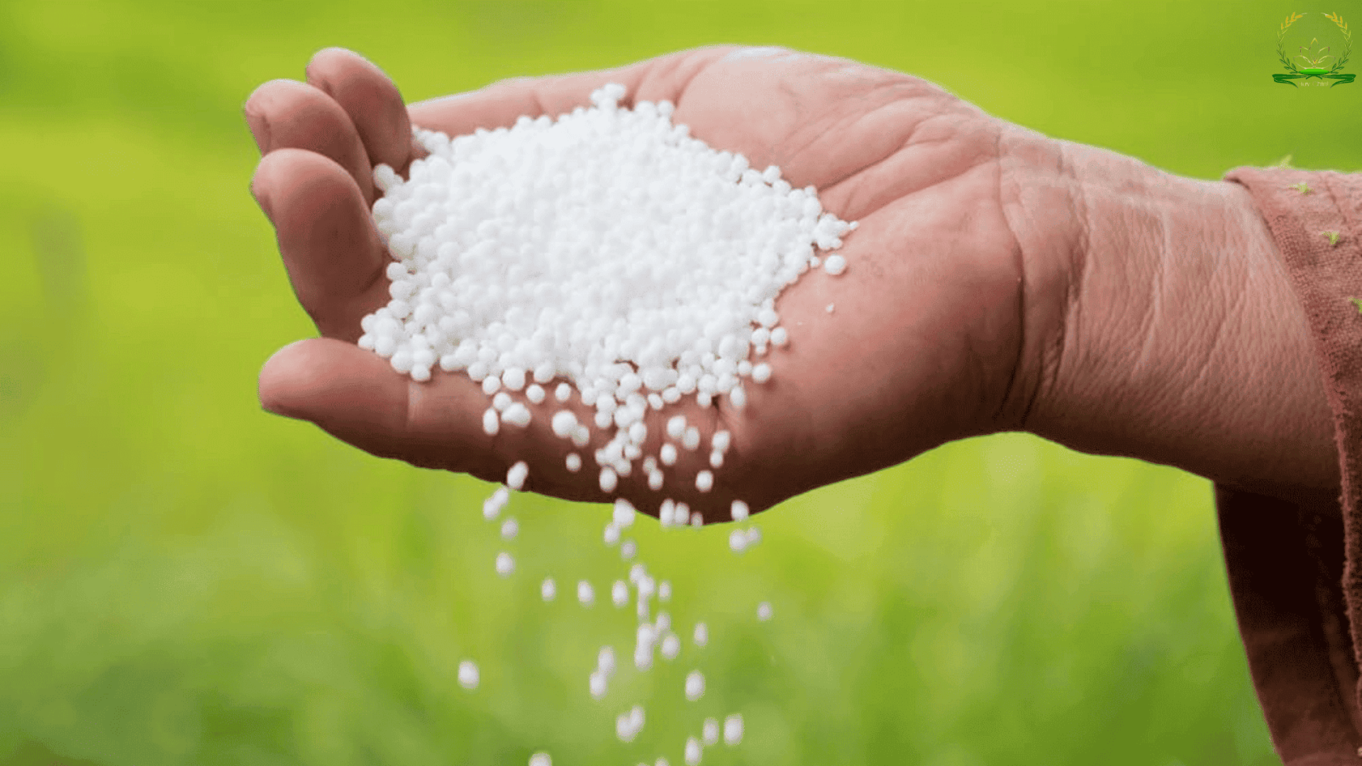 Công thức của phân urê chất lượng cao giúp cây xanh nhanh bốc mạnh