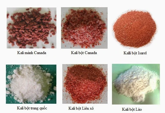 phân kali là gì