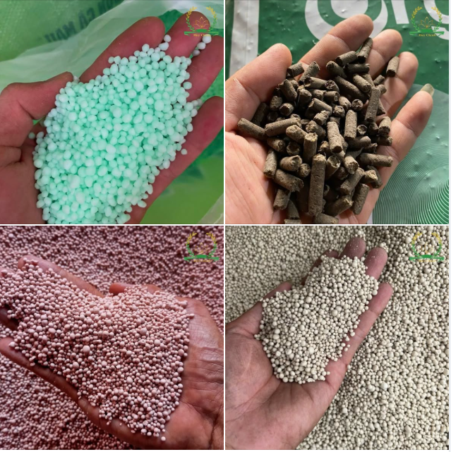 giá phân bón hôm nay