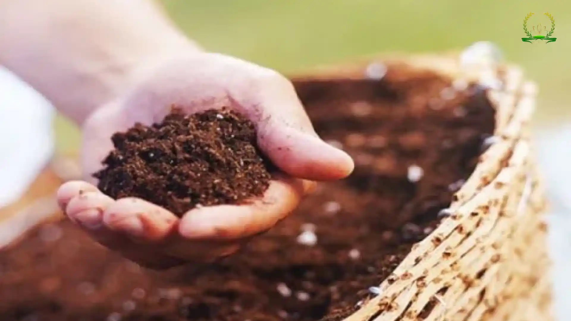 Tác dụng của phân hữu cơ