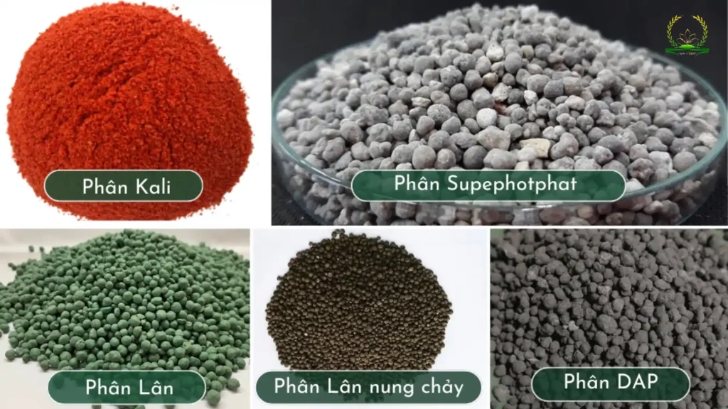 Phân bón hóa học