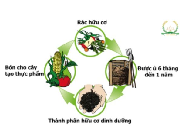 Cách sử dụng phân bón hữu cơ truyền thống hiệu quả