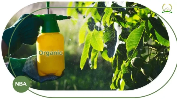 Các loại phân bón lá hữu cơ: 7 dòng sản phẩm tốt nhất tại Huy Chính